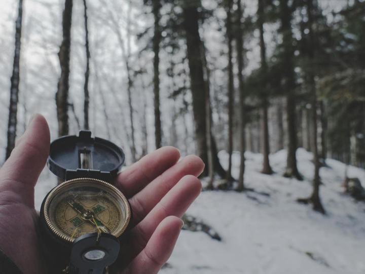 person holding compass in forest